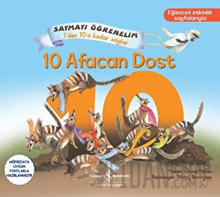 10 Afacan Dost - Saymayı Öğrenelim Den A Kadar Sayılar Grace Nolan