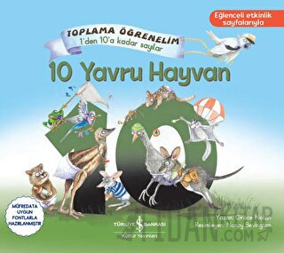 10 Yavru Hayvan - Toplama Öğrenelim 1'den 10'a Kadar Sayılar Grace Nol