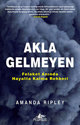 Akla Gelmeyen Amanda Ripley