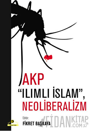 AKP Ilımlı İslam, Neoliberalizm Kolektif