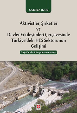 Aktivistler, Şirketler ve Devlet Etkileşimleri Çerçevesinde Türkiye'de