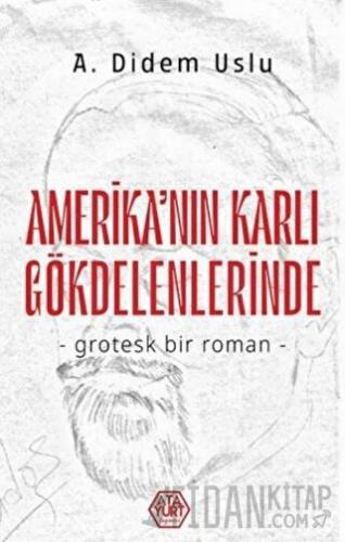 Amerika'nın Karlı Gökdelenlerinde A. Didem Uslu