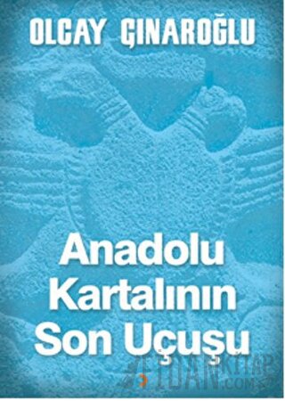 Anadolu Kartalının Son Uçuşu Olcay Çınaroğlu