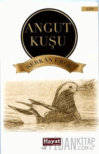 Angut Kuşu Serkan Erol