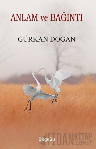 Anlam ve Bağıntı Gürkan Doğan