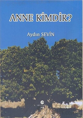 Anne Kimdir? Aydın Sevin