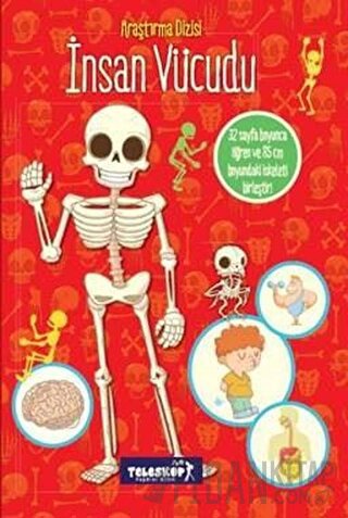 Araştırma Dizisi: İnsan Vücudu Kolektif