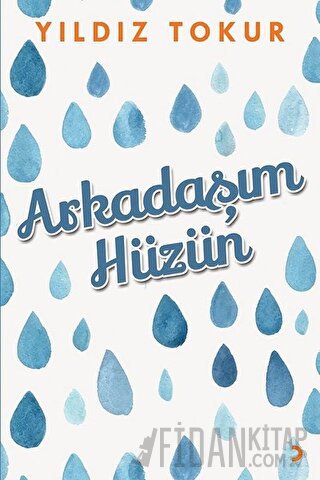 Arkadaşım Hüzün Yıldız Tokur