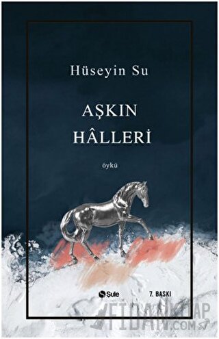 Aşkın Halleri Hüseyin Su