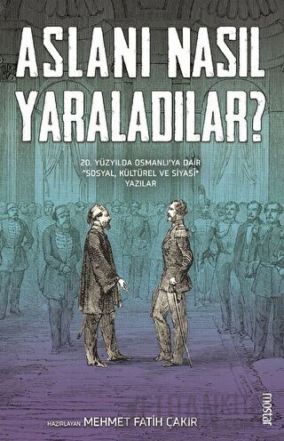 Aslanı Nasıl Yaraladılar? Kolektif