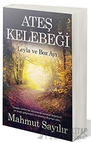 Ateş Kelebeği Mahmut Sayılır