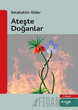 Ateşle Doğanlar Selahattin Gider