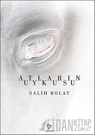 Atların Uykusu Salih Bolat