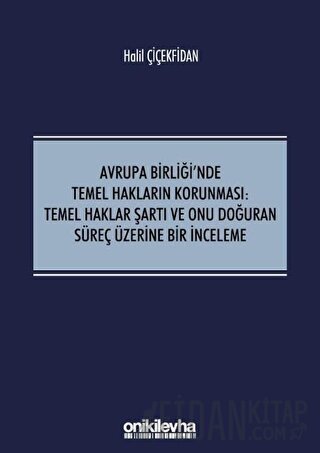 Avrupa Birliği'nde Temel Hakların Korunması: Temel Haklar Şartı ve Onu