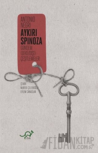 Aykırı Spinoza Antonio Negri