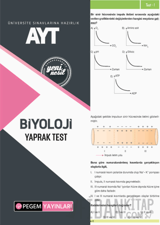 AYT Biyoloji Yaprak Test Kolektif