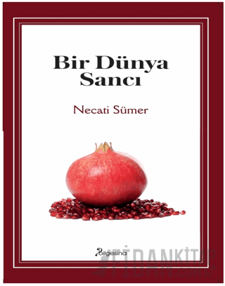 Bir Dünya Sancı Necati Sümer