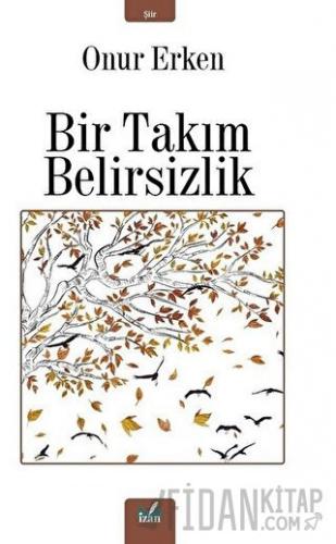 Bir Takım Belirsizlik Onur Erken