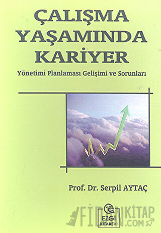 Çalışma Yaşamında Kariyer Serpil Aytaç