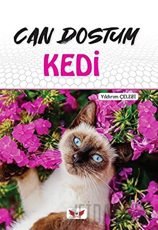 Can Dostum Kedi Yıldırım Çelebi