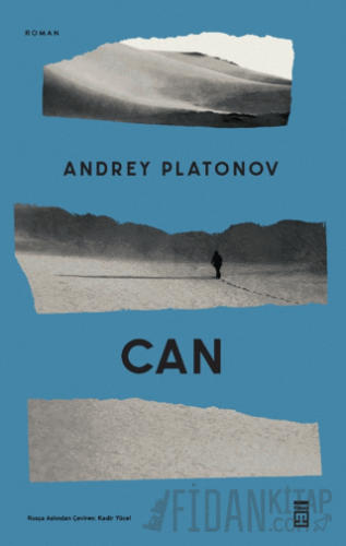 Can Andrey Platonov