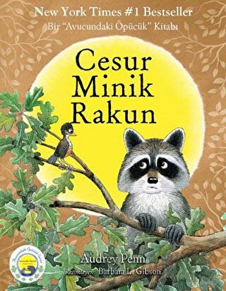 Cesur Minik Rakun Audrey Penn