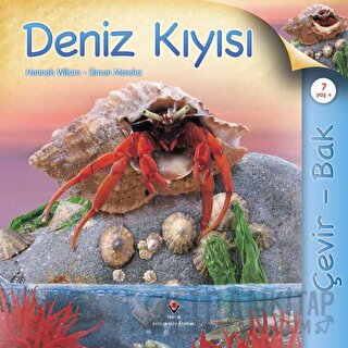 Çevir Bak - Deniz Kıyısı (Ciltli) Hannah Wilson