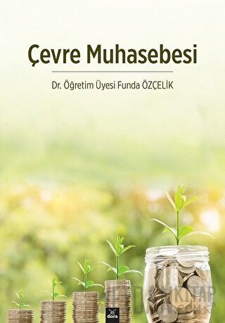 Çevre Muhasebesi Funda Özçelik