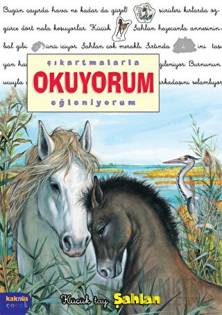 Çıkartmalarla Okuyorum Eğleniyorum -Küçük Tay Şahlan Delphine Lacharro