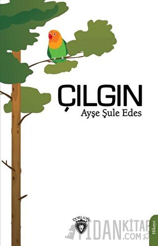 Çılgın Ayşe Şule Edes