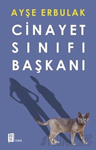 Cinayet Sınıfı Başkanı Ayşe Erbulak