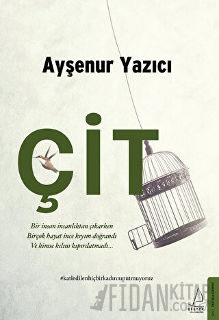 Çit Ayşenur Yazıcı