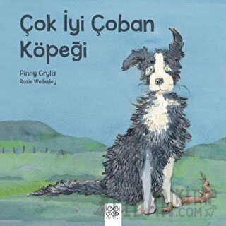 Çok İyi Çoban Köpeği Rosie Wellesley