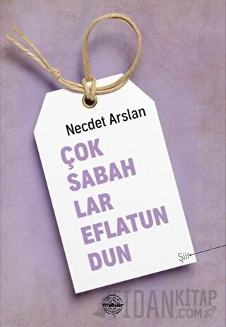 Çok Sabahlar Eflatundun Necdet Arslan