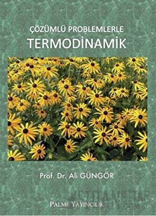 Çözümlü Problemlerle Termodinamik Ali Güngör