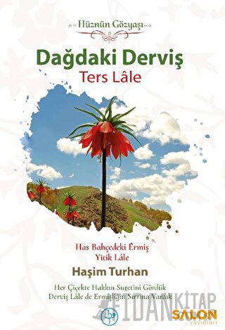 Dağdaki Derviş Ters Lale Haşim Turhan