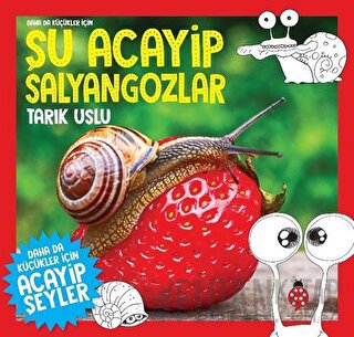 Daha da Küçükler İçin Şu Acayip Salyangozlar Tarık Uslu