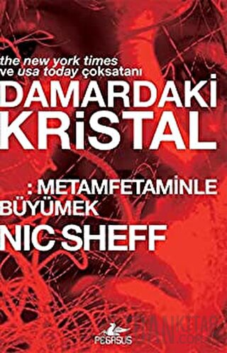 Damardaki Kristal: Metamfetaminle Büyümek Nic Sheff