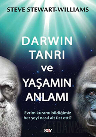 Darwin Tanrı ve Yaşamın Anlamı Steve Stewart Williams