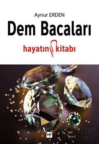 Dem Bacaları Aynur Erden