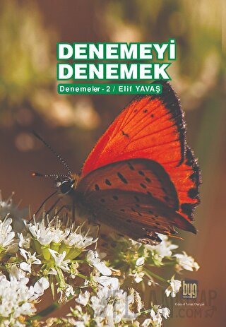 Denemeyi Denemek Elif Yavaş