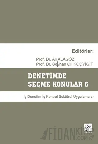 Denetimde Seçme Konular 6 Ali Alagöz