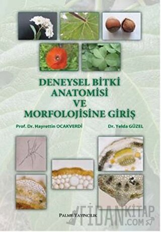 Deneysel Bitki Anatomisi ve Morfolojisine Giriş Hayrettin Ocakverdi