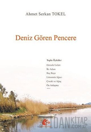 Deniz Gören Pencere Ahmet Serkan Tokel