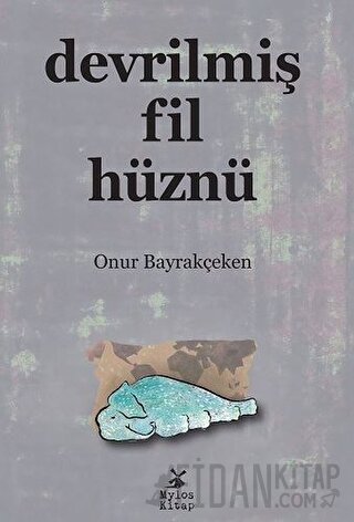 Devrilmiş Fil Hüznü Onur Bayrakçeken