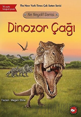 Dinozor Çağı - Ne Neydi? Serisi Megan Stine