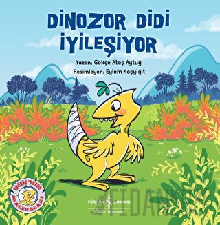 Dinozor Didi İyileşiyor Gökçe Ateş Aytuğ