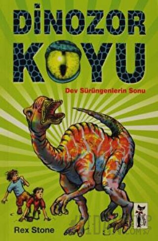 Dinozor Koyu Rex Stone