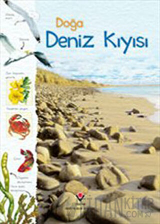 Doğa: Deniz Kıyısı (Ciltli) Conrad Mason