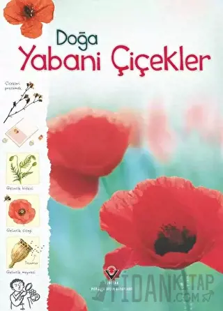 Doğa - Yabani Çiçekler Kirsteen Rogers